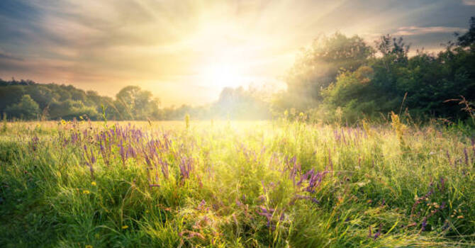 The Three-Month Rule: Why Healing Asks for Time
