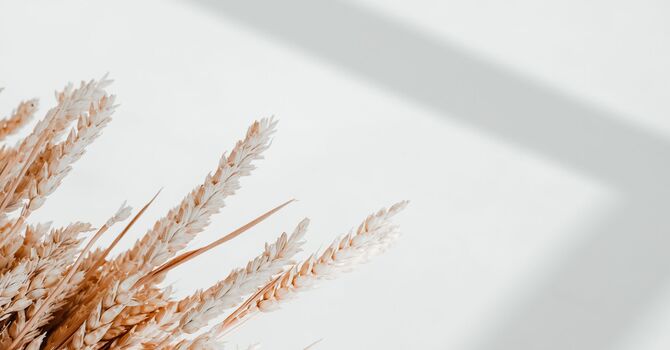 Personalized Skin Care Products