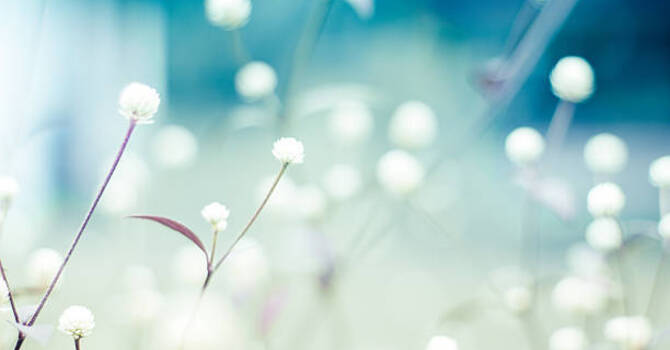 5 Ways to Beat Spring FOMO and Actually Enjoy the Season image