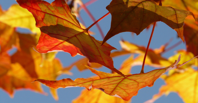 Anxiety Counselling in Melfort: Find Relief and Reclaim Peace of Mind image