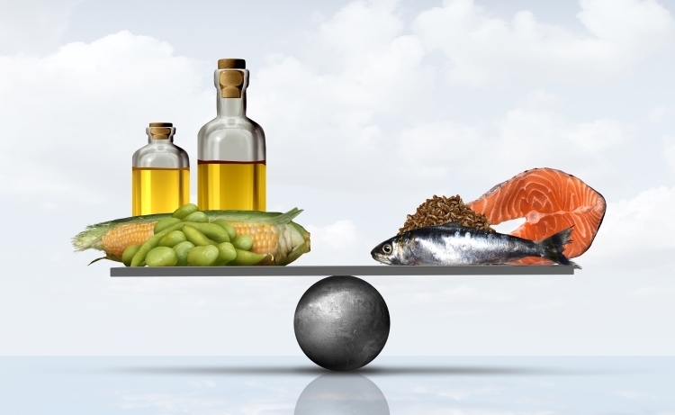 Omega 6 vs Omega 3