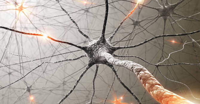 Prendre soin de son système nerveux : pourquoi, quand et comment? image