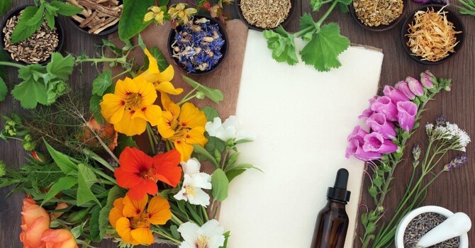 How to Boost Your Immune System Naturally with a Naturopathic Doctor