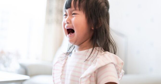 Why Does My Child's Meltdown Feel So Personal And What Can I Do in the Moment? image