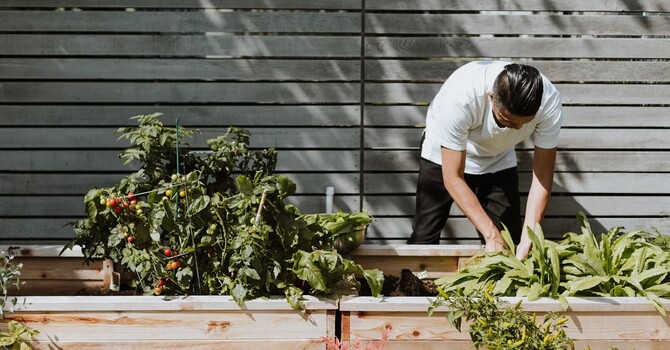 Why gardening injuries peak in spring, 