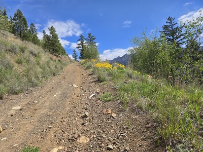 long uphill climb on the mountain path with green grass, yellow flowers, trees, and blue skies up ahead. Mountain trail near Hidden Valley Counselling in Lillooet, BC