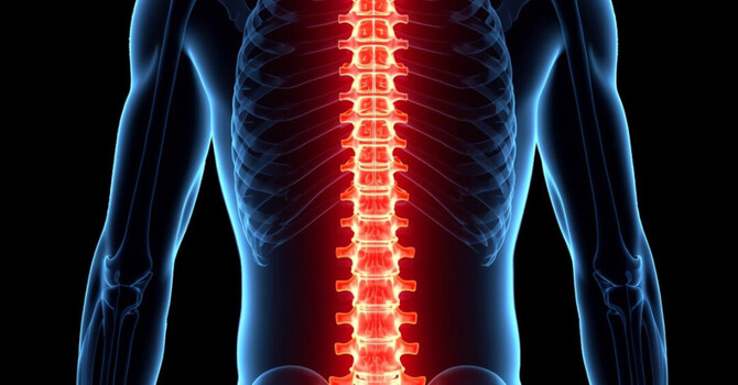 Scoliosis, Kyphosis & Lordosis