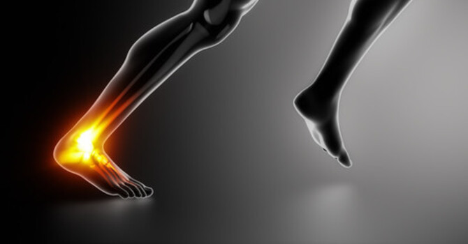 Anatomy in Motion