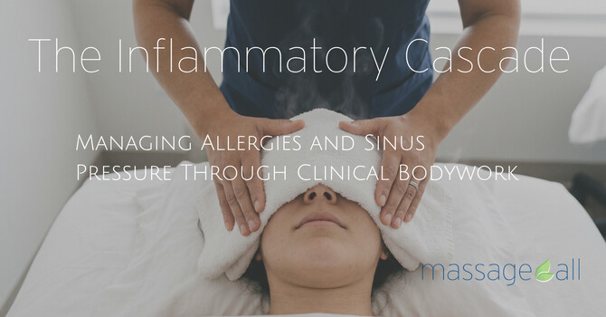 The Inflammatory Cascade