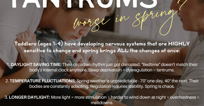 Toddler Tantrums, Worse In Spring? image