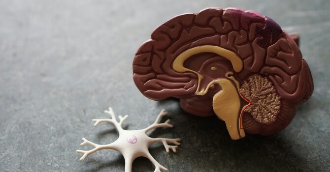 What does Autonomic Rehabilitation look like?