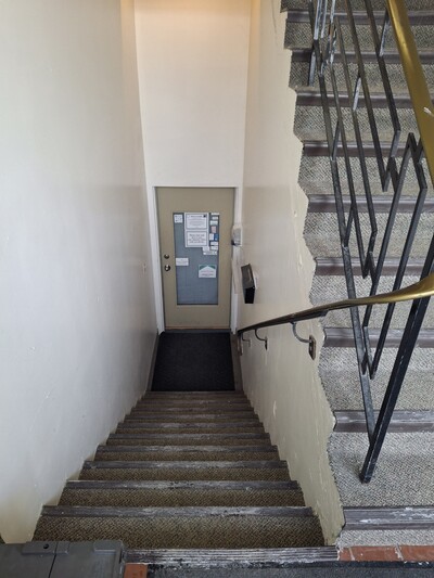 Unnamed Image