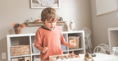 Link to: https://arnicacounselling.com/services/counselling-for-children-5yrs-12yrs