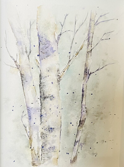 Birch of Denare
