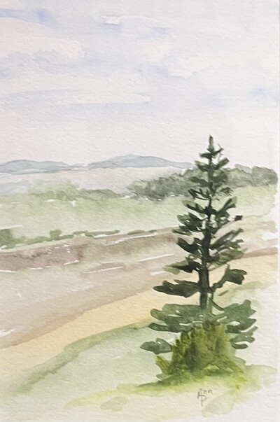 Dirt Road Adventure