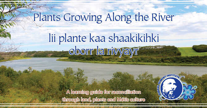 Plants Growing Along the River