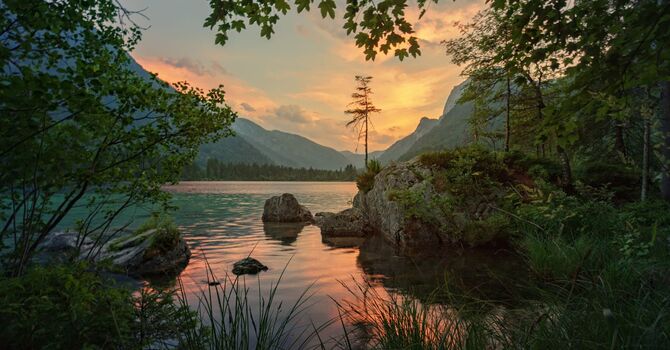 The Power of Perspective: How to Take A "Reflective Stance"
