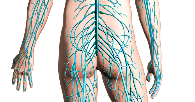 Quantum Neurology®