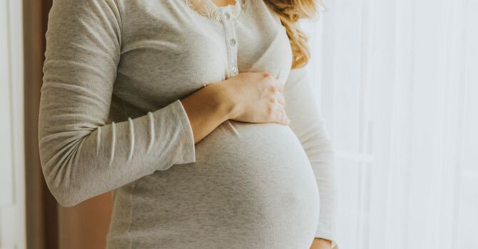 Pregnancy: Webster