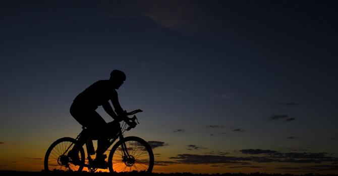 Chiropractic & Sports Rehab