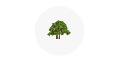 Two trees