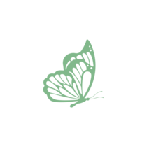 Little green butterfly