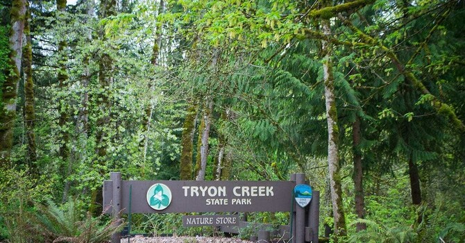 The Best Walking Trails Near Lake Oswego