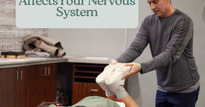 Your Menstrual Cycle & How It AffectsYour Nervous System