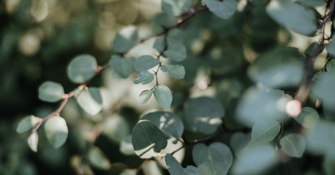 Virtual CBT Therapy Online | Counselling for Anxiety & Stress image