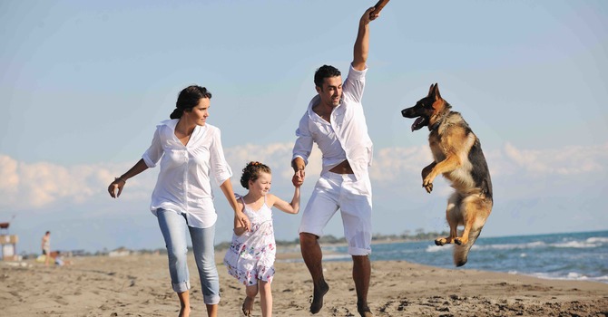 What Is the Webster Technique? A Golden Valley Chiropractor Explains image