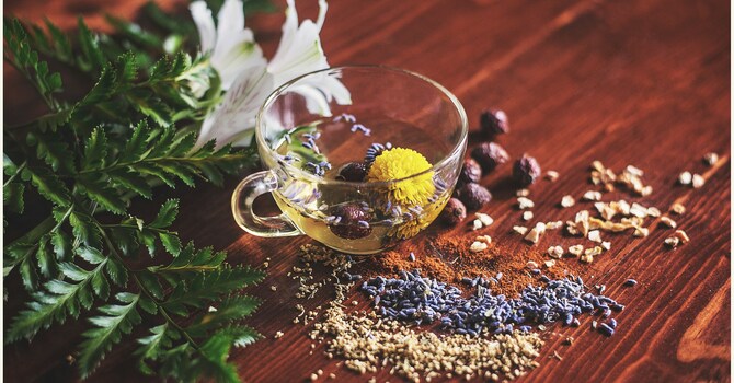 What’s It Like to Start Personalized Herbal Treatment? Get Answers Here. image