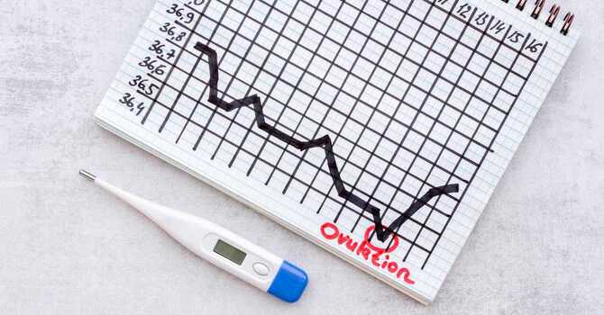 The Power of Tracking Basal Body Temperature image
