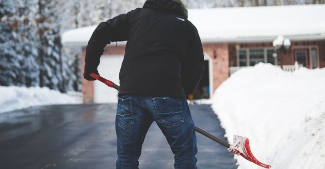 A Canadian's Plight image