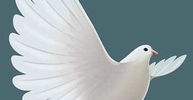 Intuitive Counselling