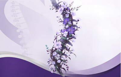 Spine picture with flowers showing the roots explaining we look for the root cause of pain.