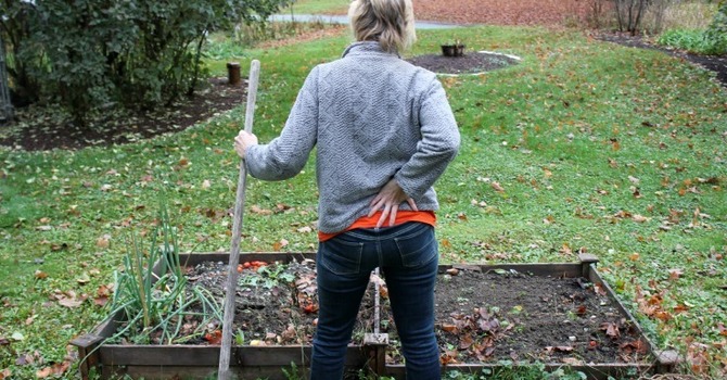 Save your Back While Gardening image