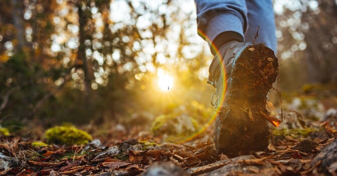 EMDR Therapy for Trauma: What It Is, What It Treats, and How It Helps