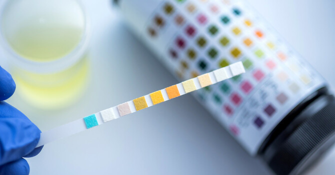 Functional Medicine and Urinary Tract Infections (UTIs) image