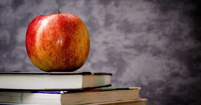 Concussion’s Impact on Learning in School
