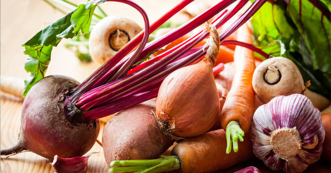 Rooting In: Supporting Your Hormones, Nervous System, and Pelvic Floor In The New Year image