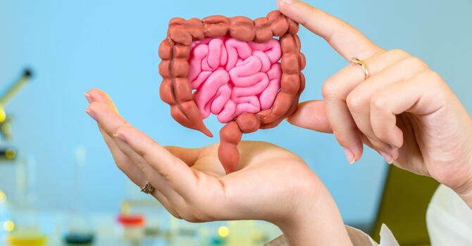 Gut Imbalance? 