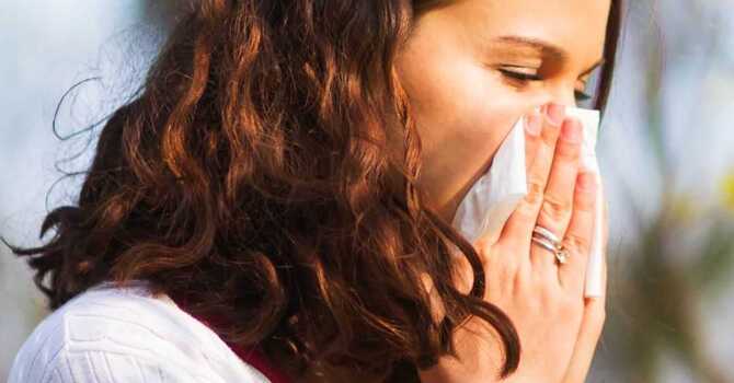 Navigating Allergy Season with Homeopathy  image