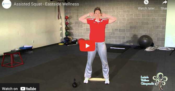Assisted Squat