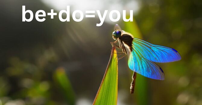be+do=you (BDY)