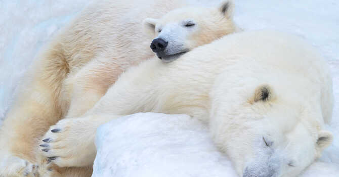 Get Better Sleep image