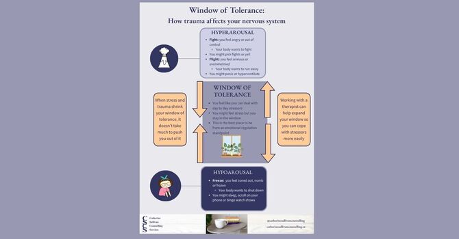 The Window of Tolerance: How Trauma Affects your Nervous System 