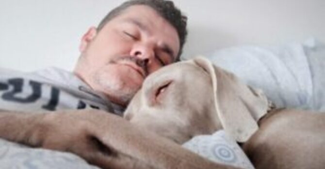 Sleeping Well Can Keep You Healthy