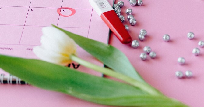 Why Progesterone Matters for Your Health: 6 Benefits you Should Know as a Women in HA