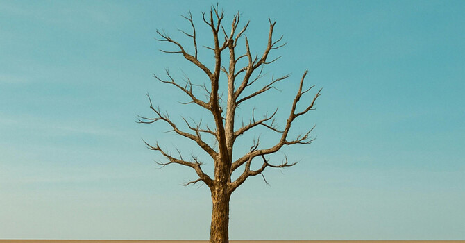 Survival Mode: Why You Feel Stuck and How to Start Feeling Like Yourself Again image