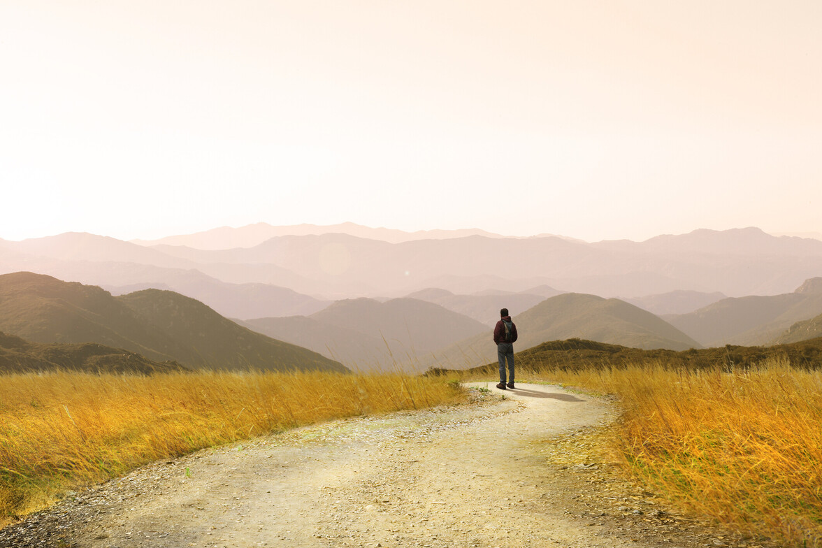 Person standing on a winding path through a golden field with mountains in the distance